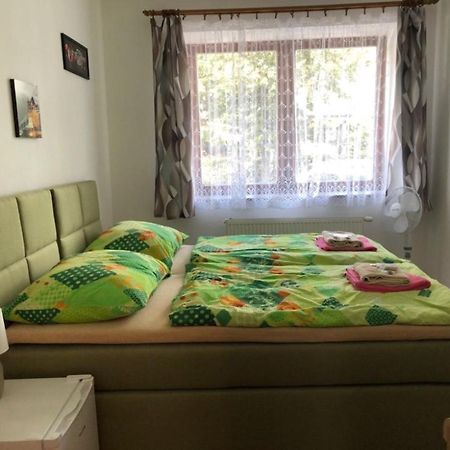 Penzion Na Hrazi Poděbrady Esterno foto